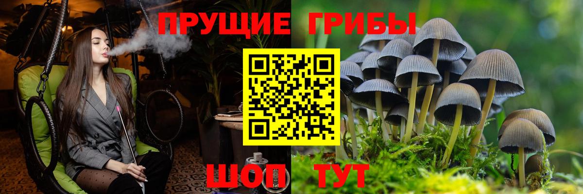 Псилоцибиновые грибы мухоморы  где можно купить   Вход с VPN  Одинцово  Галлюциногенные грибы Psilocybine cubensis 
